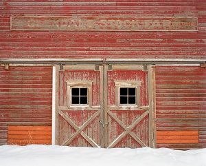 Glendale Stock Farm by judy hill