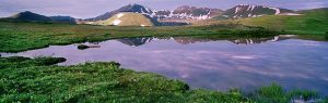 Independence Pass Morning by judy hill