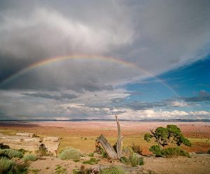 Desert Rainbow by judy hill