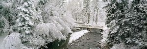 Kinder Bridge by judy hill