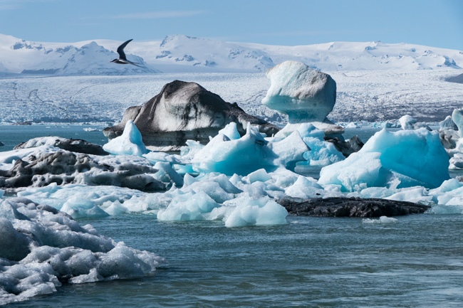 Jokulsarlon Iceland Judy Hill Photo
