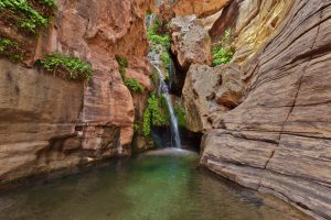 Delicate Falls by judy hill