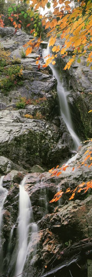 Falling Water by judy hill