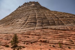 Checkerboard Mesa, Zion National Park by judy hill