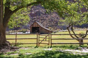 Gifford Barn, Capitol Reef Utah by judy hill