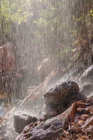 Emerald Pool Shower by judy hill